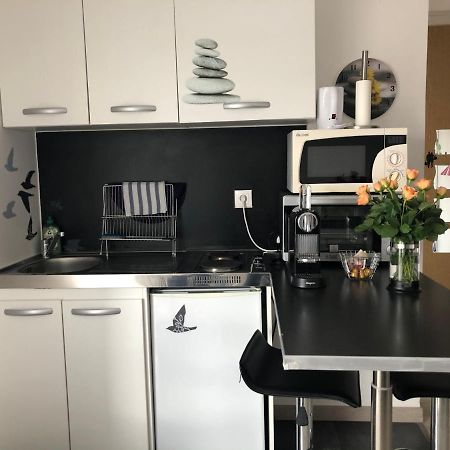 Joli Studio A Euroairport-Basel-Mulhouse-Freiburg Сен-Луи Екстериор снимка